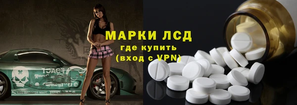гашик Арсеньев