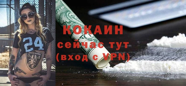 гашик Арсеньев