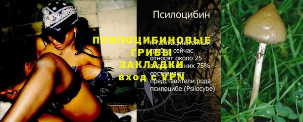 MESCALINE Аркадак