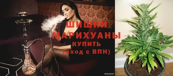 MESCALINE Аркадак