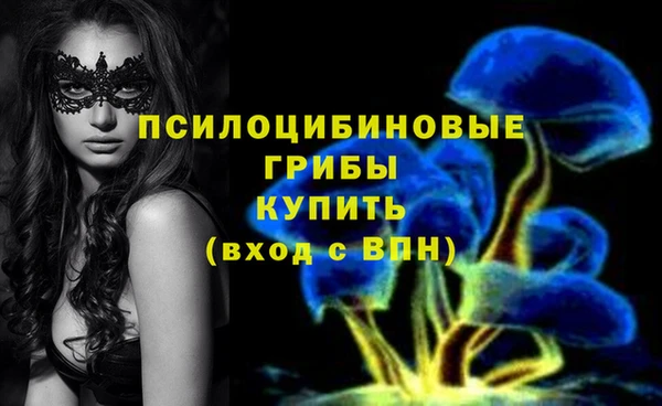 MESCALINE Аркадак