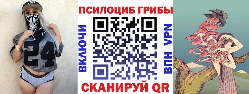 закладка  МЕГА зеркало  Галлюциногенные грибы мицелий  shop формула  Старая Купавна 